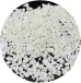 White Porcelain